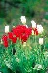 Uplifting Word - Short Inspiring Christian Audio Message - Something Is Missing