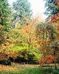Uplifting Word - Short Inspiring Christian Mp3 Audio Message - Encouraged for the Season